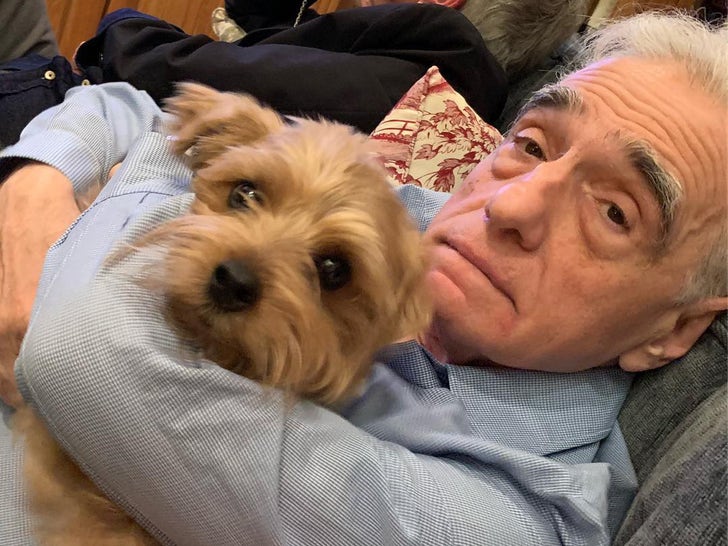 O amor de cachorrinho de Martin Scorsese