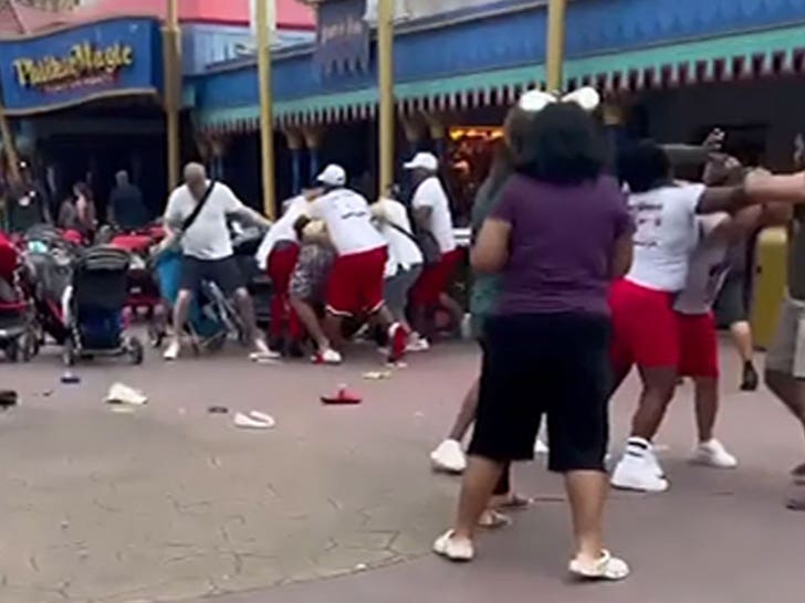 Families Throw Down in Massive Disney World Brawl, One Person Hospitalized