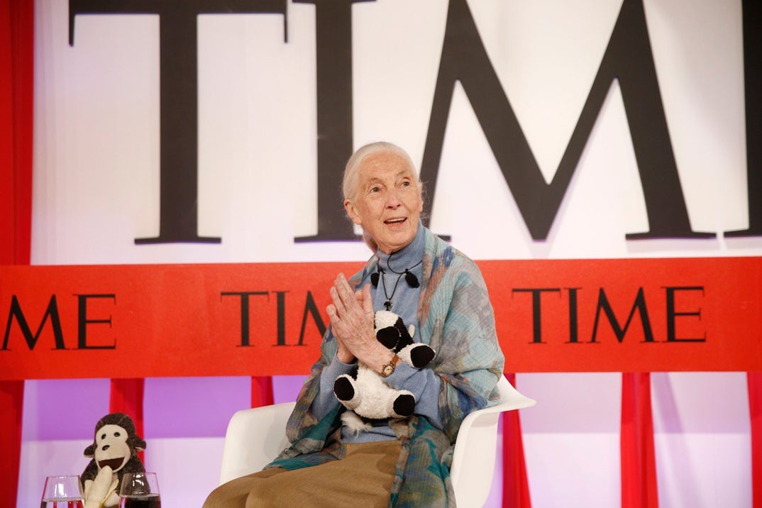 Remembering Jane Goodall 5