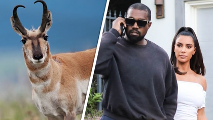 Kanye West and Kim Kardashian have a lot to learn about living in Wyoming -- where the deer and the antelope play ... but they can't play with Ye.