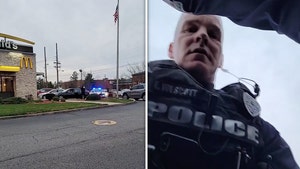 Cops Attack and Slug Man Filming Police Stopping Driver