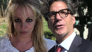 Britney Spears Paid Lawyer Mathew Rosengart Law Firm $4.2 Million for 17 Month's Work