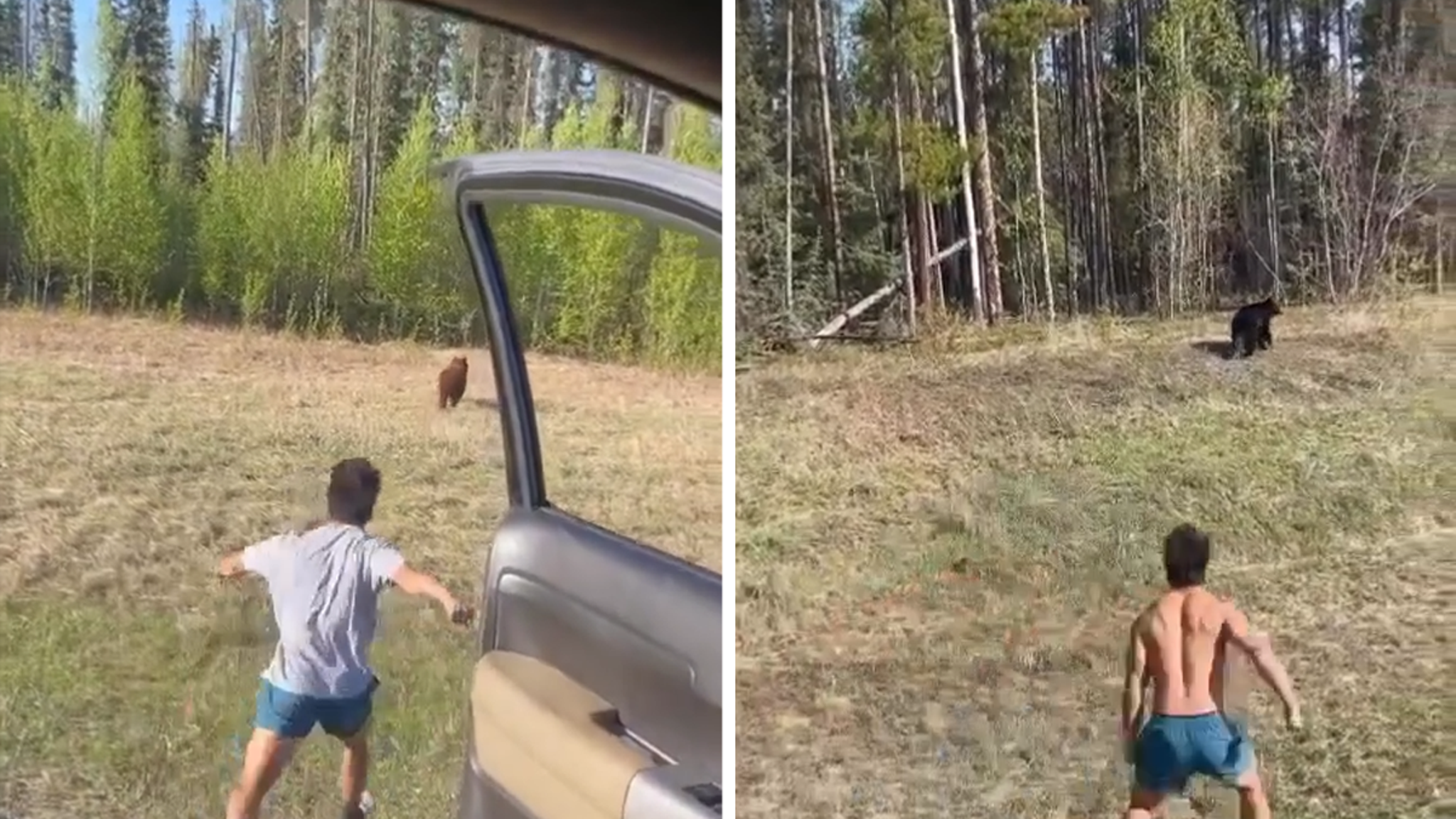 Yellowstone tourist facing legal trouble after harassing bear on video