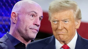 joe rogan and trump getty 1