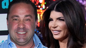 Teresa giudice joe guidice