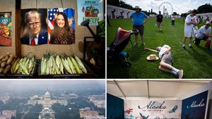 dc state fair