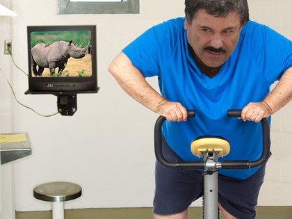 0417-el-chapo-jail-fun-art-exercise-bike-no-tv-rhino