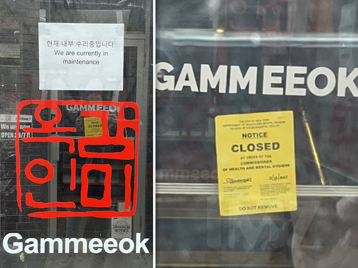 NYC Sağlık Departmanı, Müşterinin Gıdada Fare İddiasıyla Kore Restoranını Kapattı