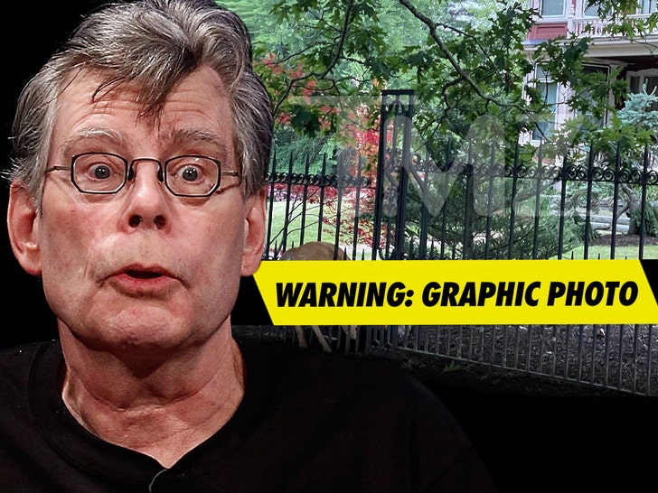 A Deer Impaled at Stephen King's Home
