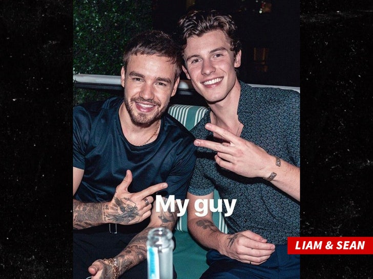 Entertainment liam payne shawn mendez