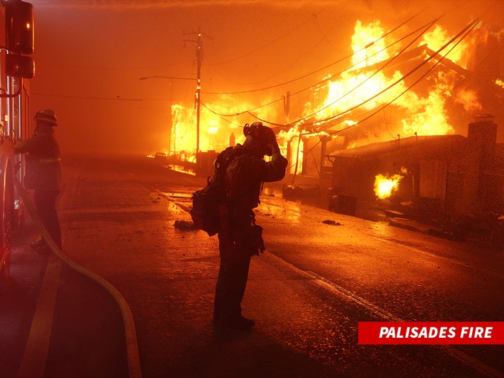 Malibu Pacific Palisades Obturador contra Incêndio 2