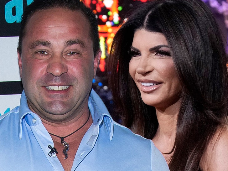 Teresa giudice joe guidice