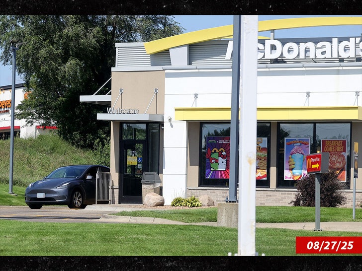 Twins congiunti Abby e Brittany Hensel con nuovo bambino al McDonald's Sub Mega Swipe 1
