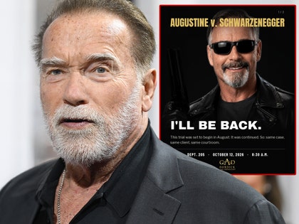 Arnold Schwarzenegger lawyer instagram
