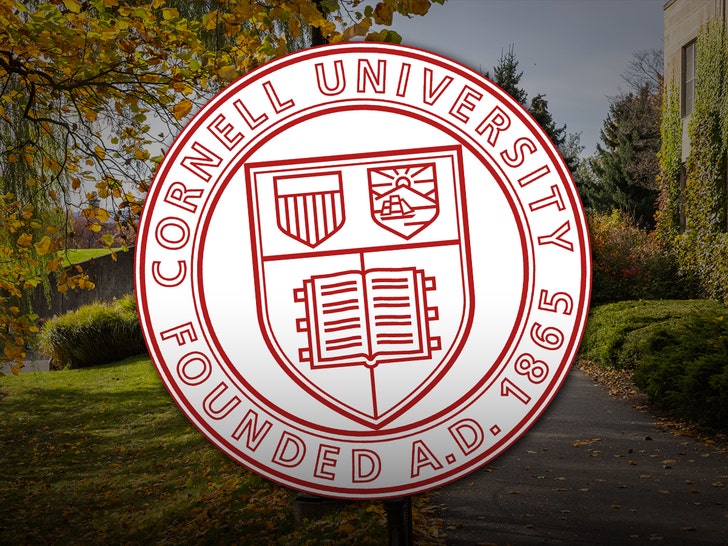 cornell university getty 1