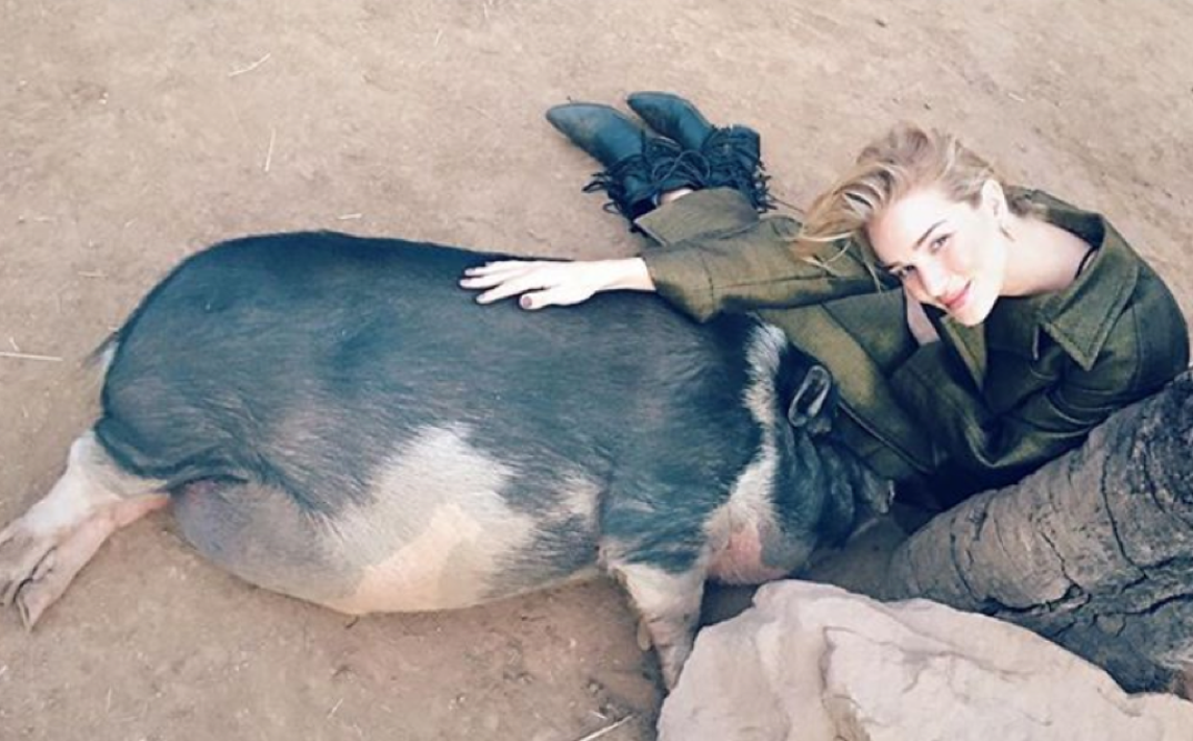 Rosie Huntington-Whiteley