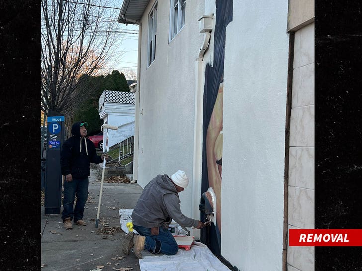 Mob Wives Big Ang Mural Covered Sister Vows to Find New Location