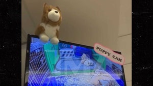 Puppy Live Stream Boosts Nurse Morale at L.A. Hospital Battling COVID