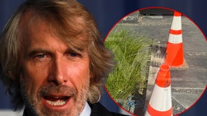 michael bay crash tmzgetty