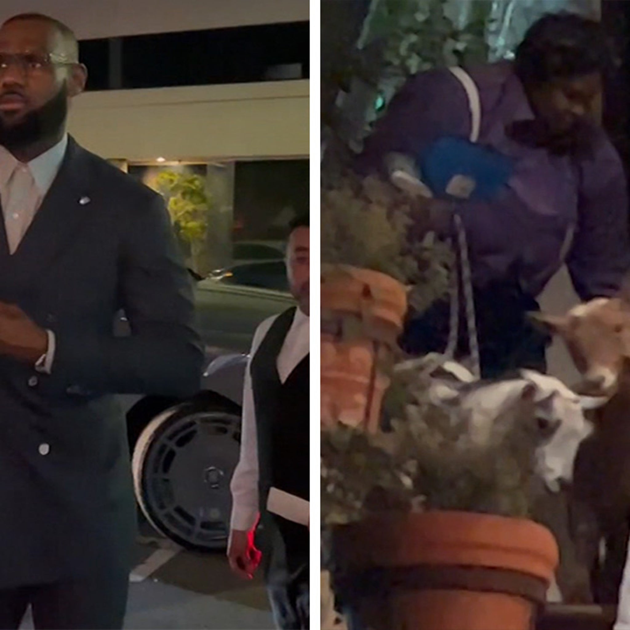 LeBron James Hosts Two Goats At Dinner Party With Savannah, Friends