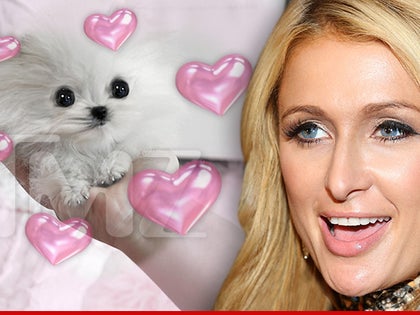 0911-paris-hilton-new-pup-getty-comp-01
