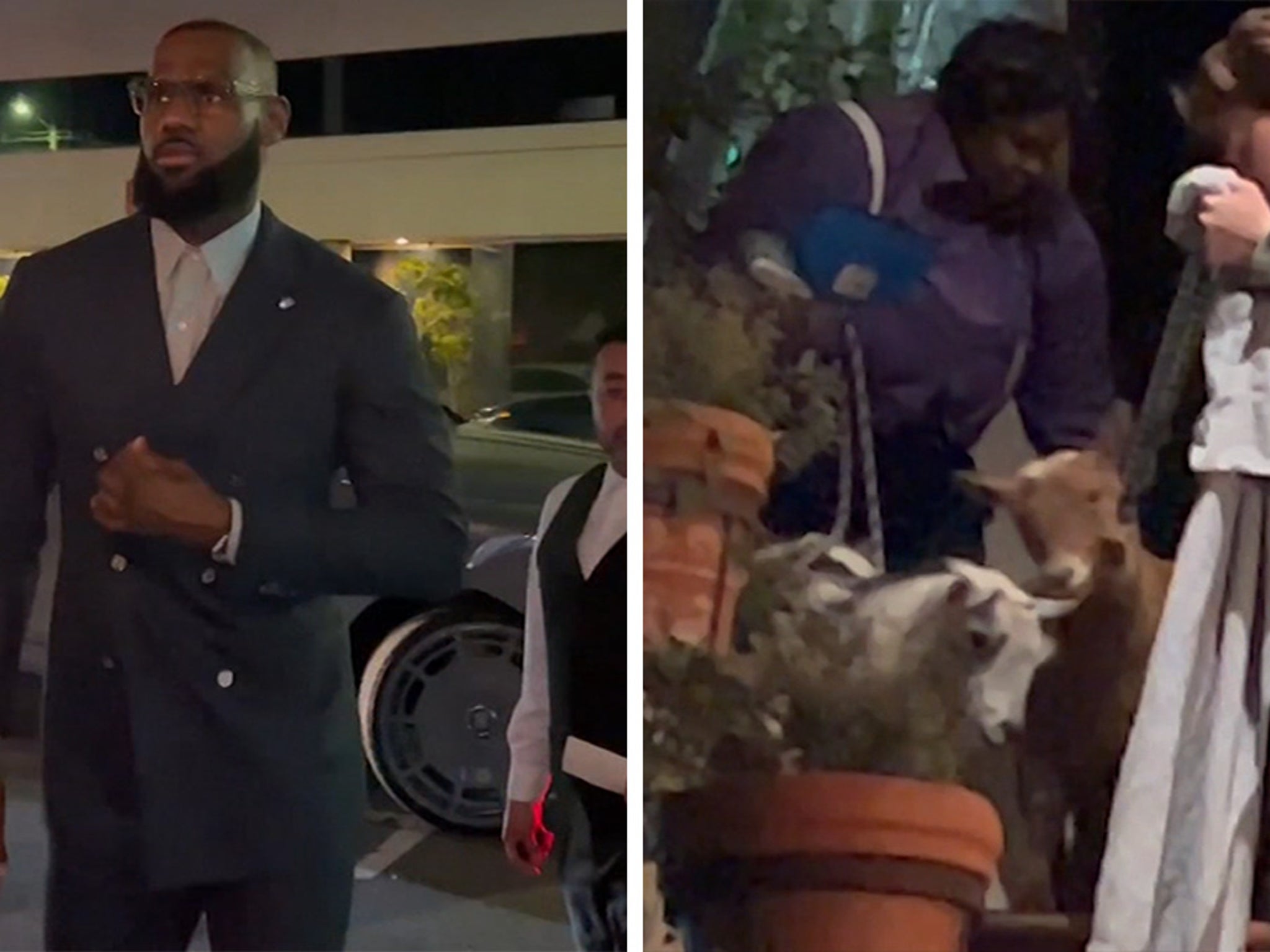 LeBron James Hosts Two Goats At Dinner Party With Savannah, Friends
