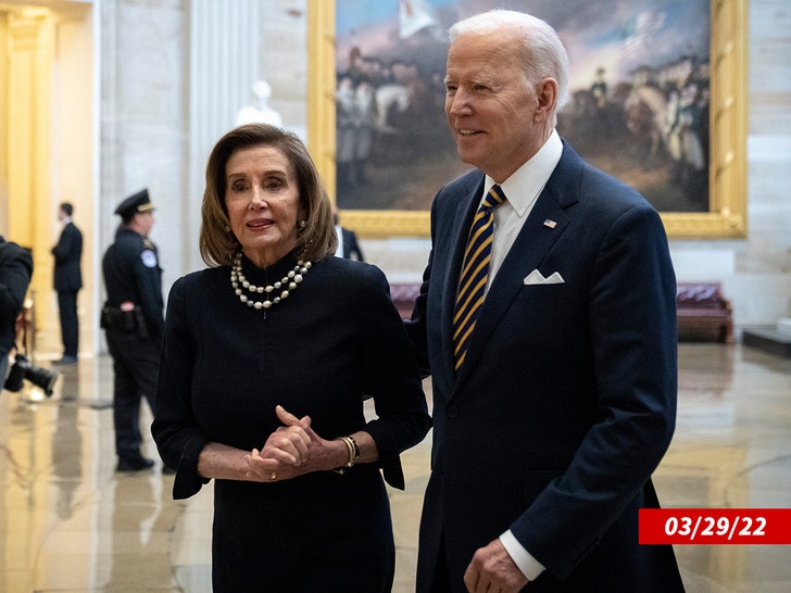 joe biden and nancy pelos