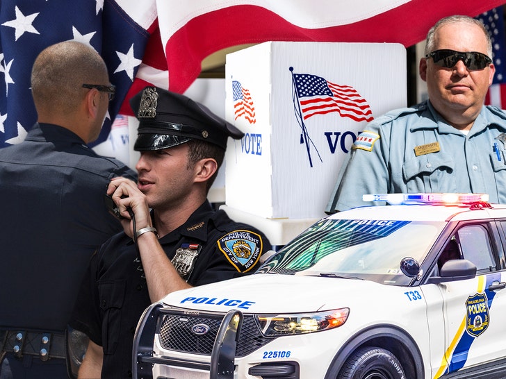 Security at Polling Places