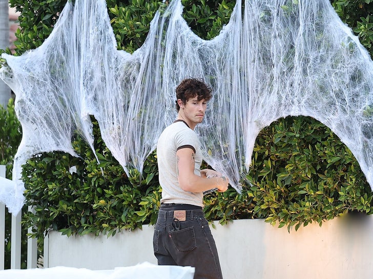 Shawn Mendes Gets in the Halloween Spirit