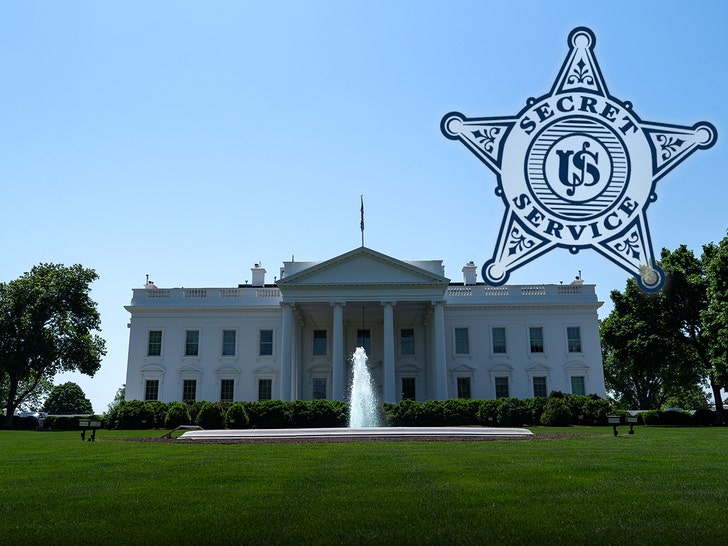 white house secret service