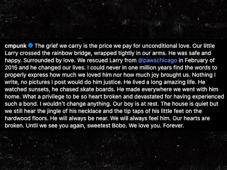 cm punkowy pies martwy podpis insta