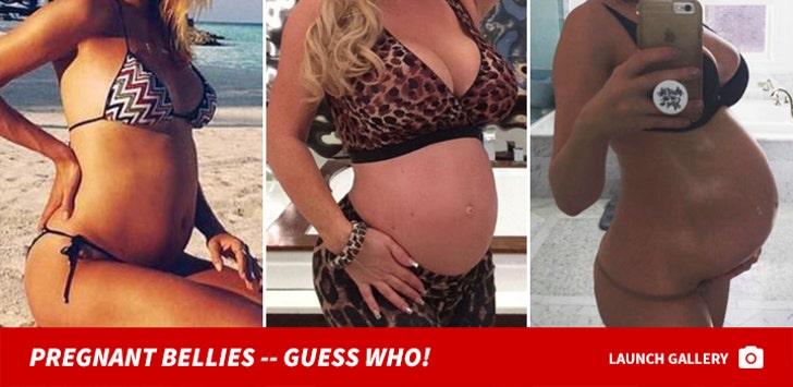 Guess the Pregnant Bellies!