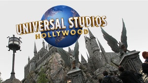 Universal Studios Sued Over Harry Potter Ride, Spinal Injury Alleged