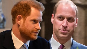 Prince Harry & Prince William Deny Report of Will's 'Bullying Attitude'