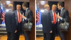 Vladimir Putin, Donald Trump