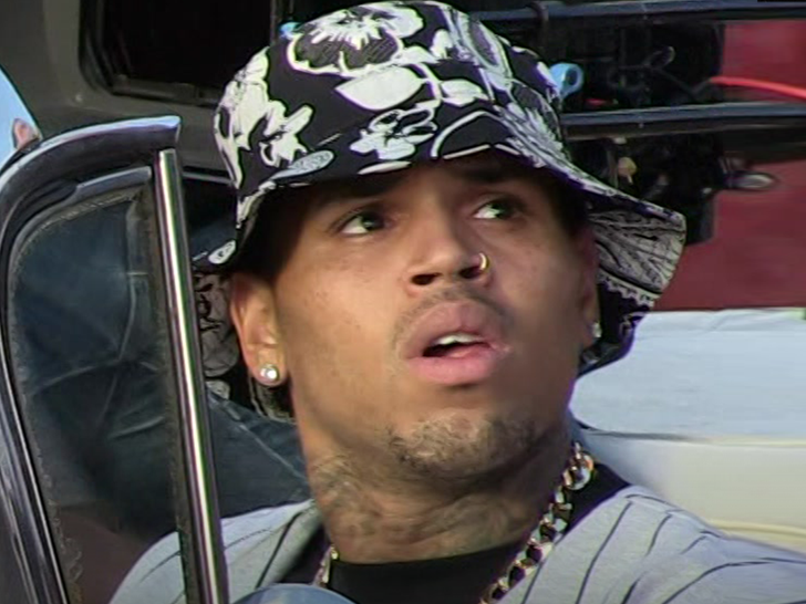 Chris Brown Posts VM and Texts from Rape Accuser, Threatens to Sue Her