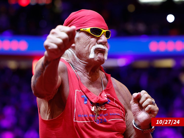 hulk hogan sub getty swipe