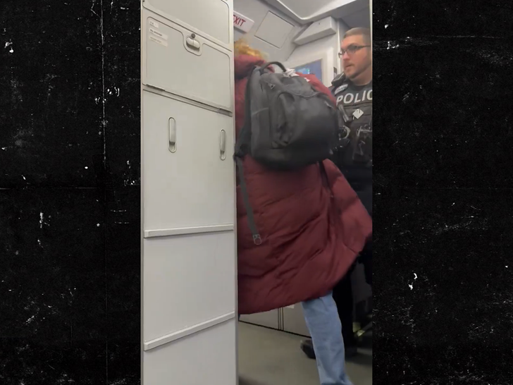 111325 american airlines 1.jpg