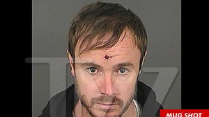 OneRepublic Drummer -- Arrested for Late-Night Rampage