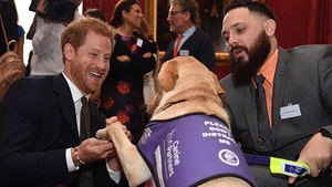 Prince Harry Dogs It with British War Hero and It's a Very Good Thing
