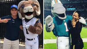 Stars With NFL Mascots