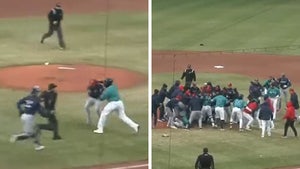 Red Sox Prospect Socks Pitcher In Face After Beaning, Ignites Insane Brawl