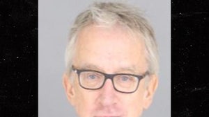andy dick mug shot