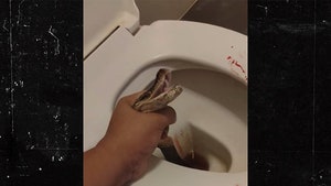 082124_toilet_snake-primary