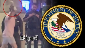 guy throws sandwich seal of justice 1