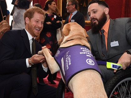 1010_Prince-Harry-meets-Phillip-Eaglesham-and-his-dog_MEGA-3