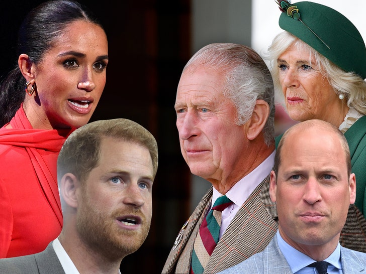 King Charles, Camilla Parker Bowles, Prince William, Prince Harry, Meghan Markle