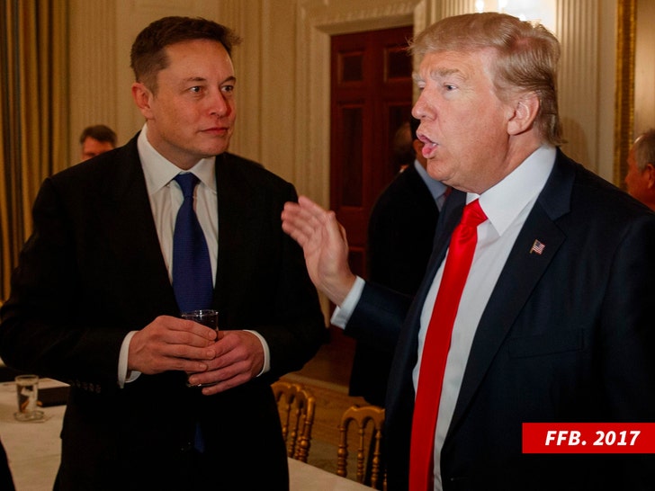 756f4d05490d495e93eaf505d982c218_md Elon Musk Asks Twitter Users To Vote On Bringing Back Donald Trump's Account