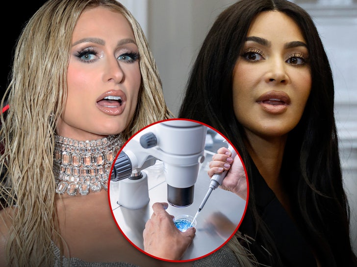 IVF Clinic Known for Treating Kim Kardashian, Paris Hilton to Be Sued Over ‘Lost’ Embryos