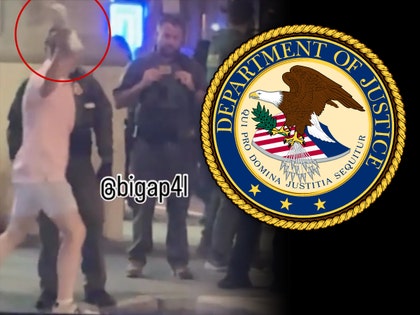 guy throws sandwich seal of justice 1